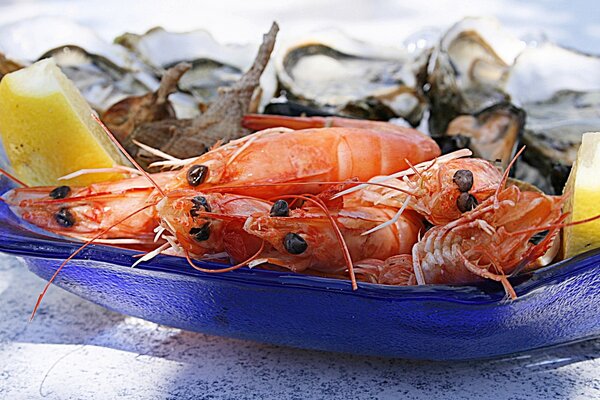 © Patou Ricard auf Pixabay